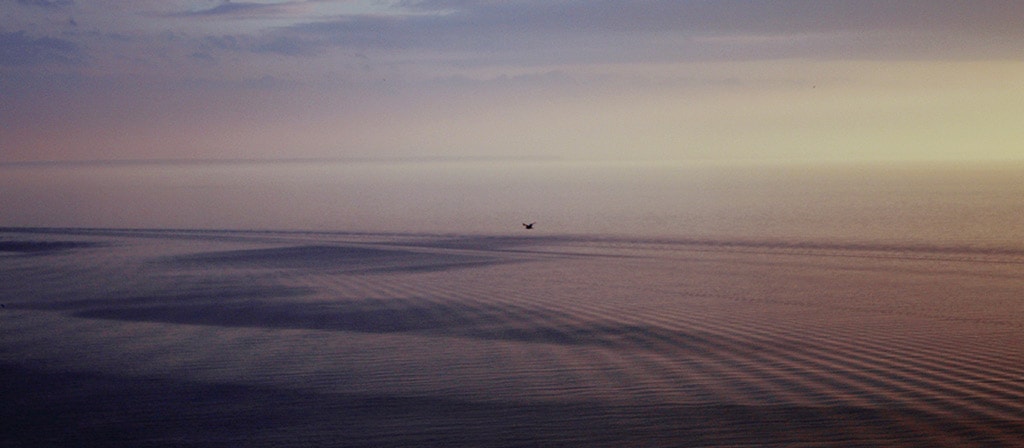 Une scène matinale sur une plage côtière
