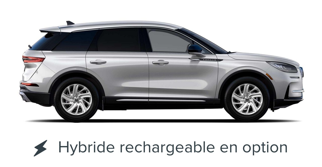 Bandes à Tresser Lincoln Pour Crinières De Chevaux - 5 Couleurs Disponibles