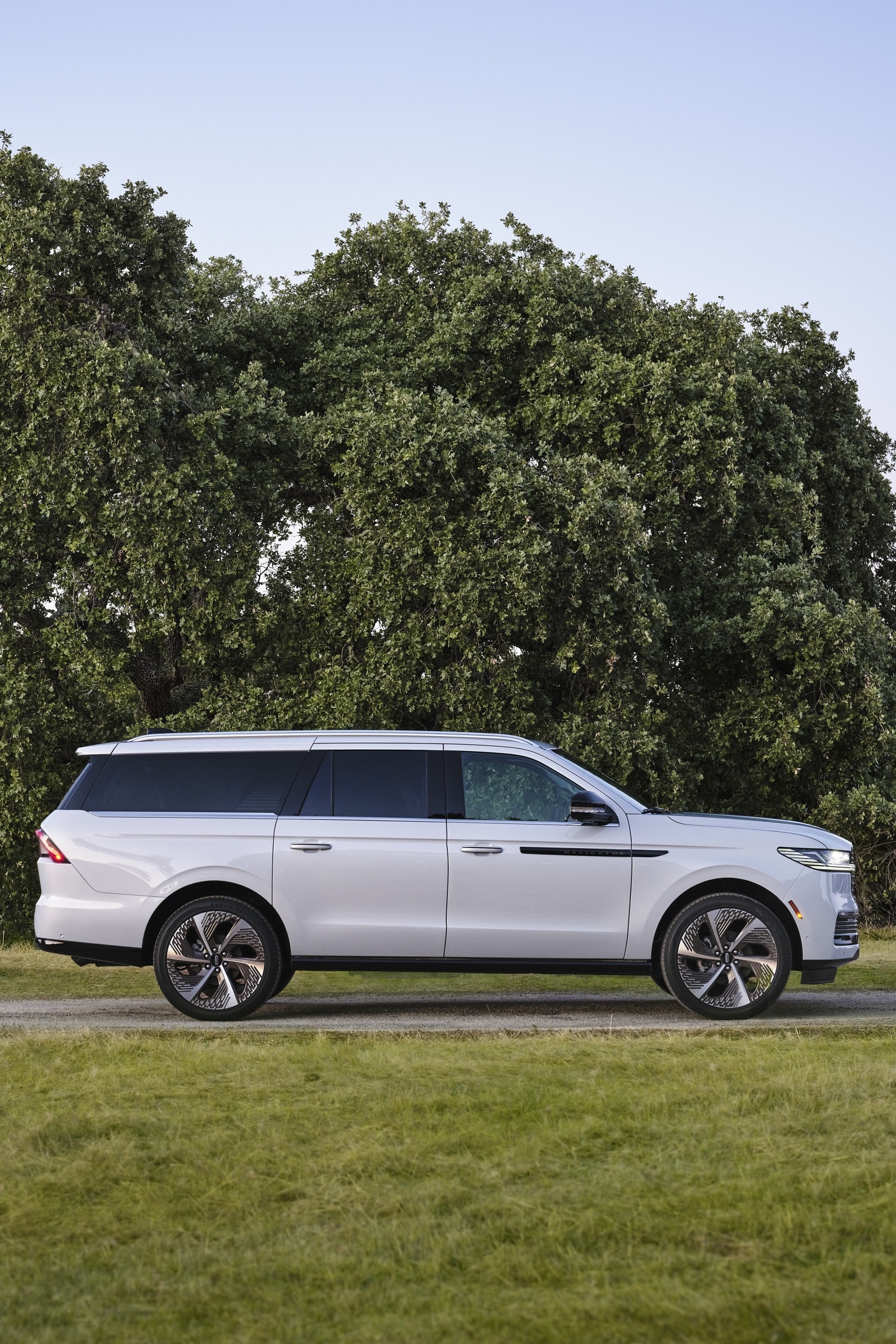 Un VUS Lincoln Black Label Navigator® 2025 est stationné dans une zone boisée